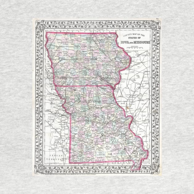 Vintage Minnesota & Iowa Railroad Map (1873) by Bravuramedia